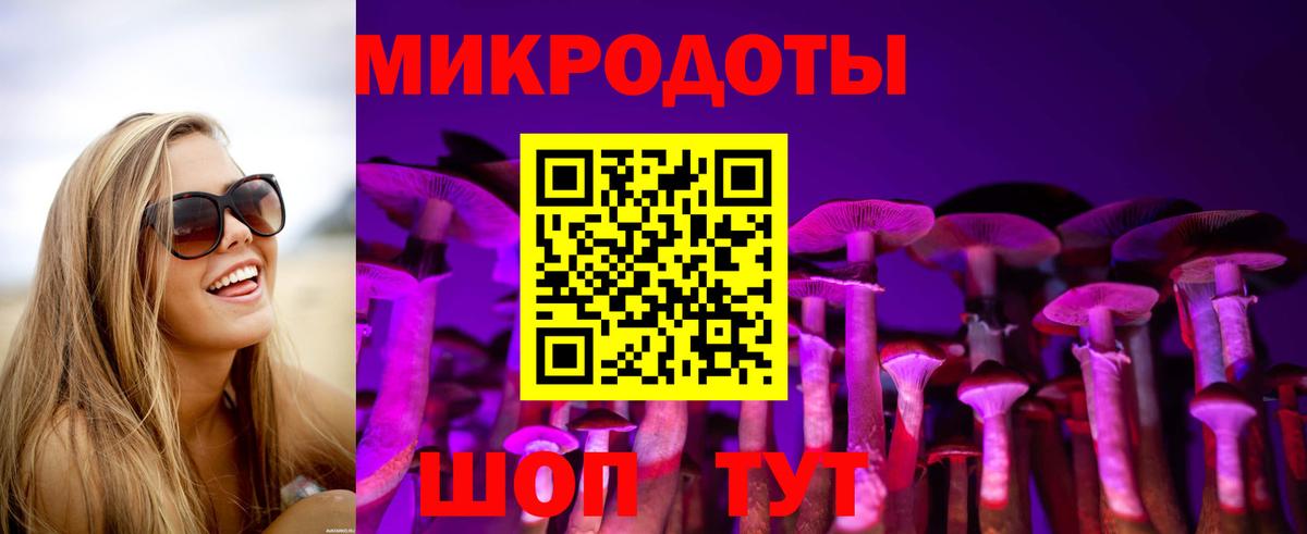 Псилоцибиновые грибы Cubensis  Вход с VPN  Донской 