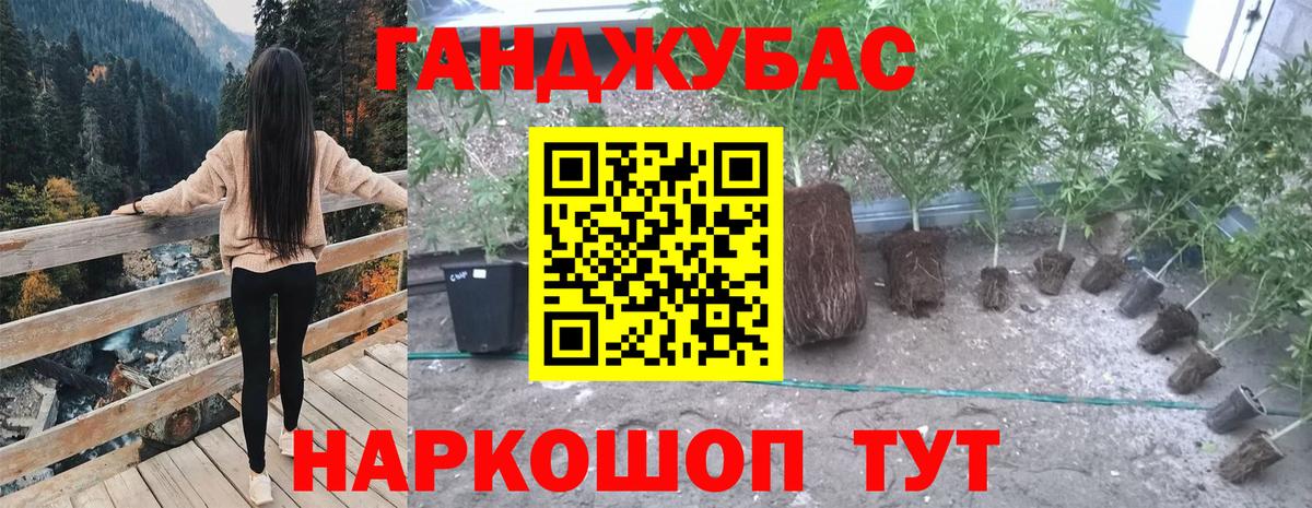 Шишки марихуана семена  Конопля Amnesia  Вход с VPN  Донской  МАРИХУАНА сатива 